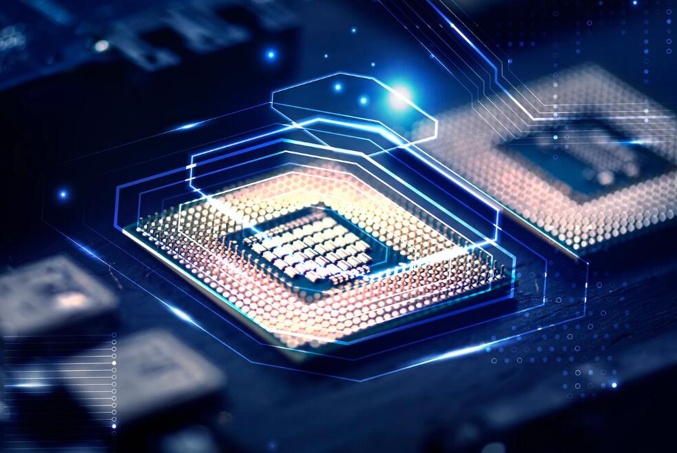 熊猫寿命如何计算 熊猫的寿命